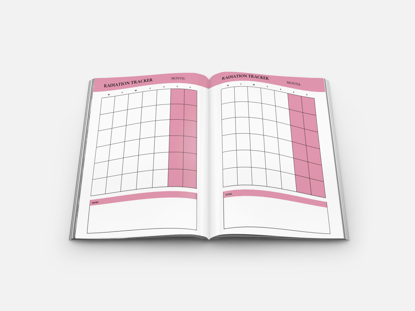 Courageous Hearts: Navigating Breast Cancer with Faith Workbook