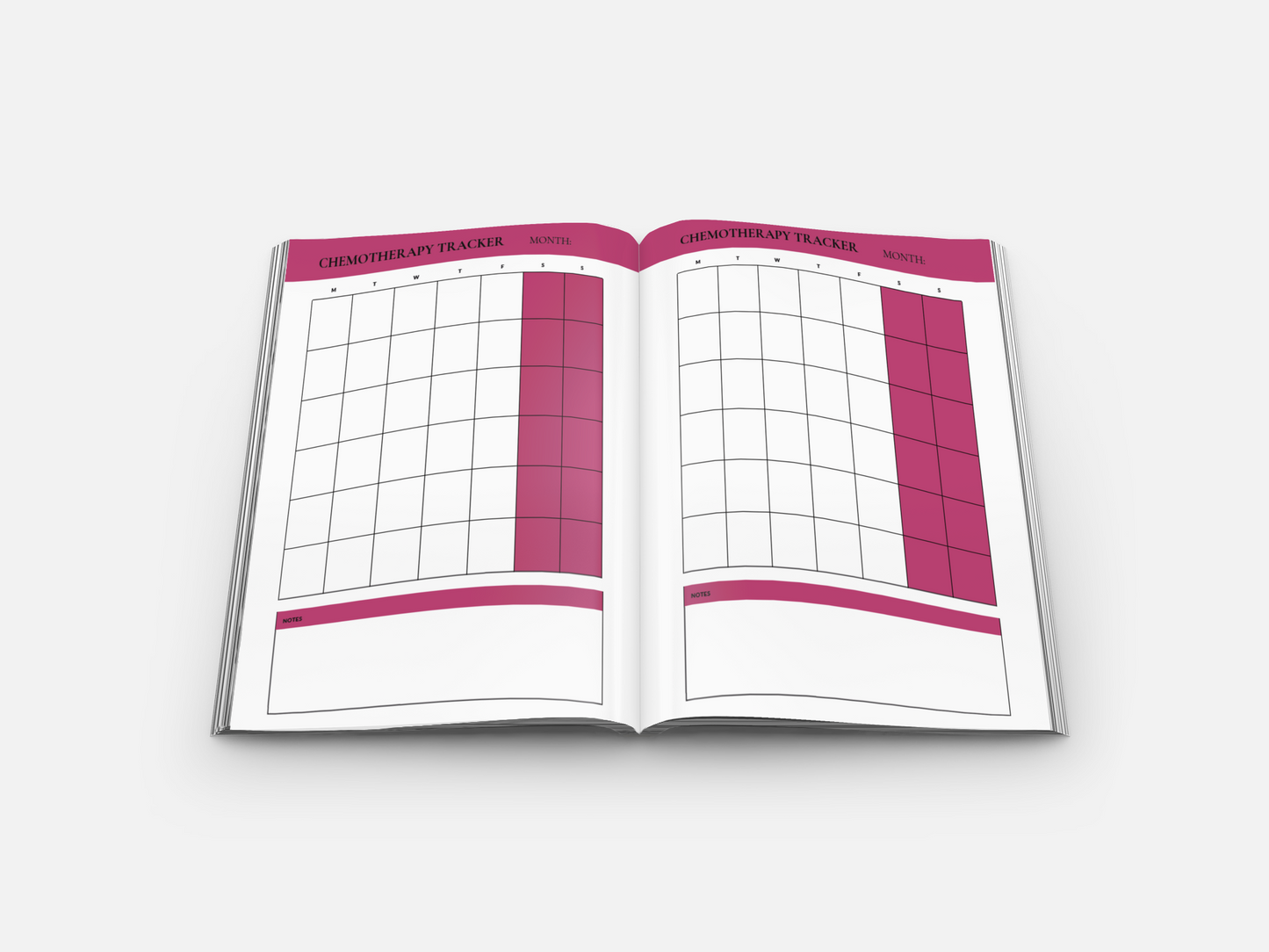 Courageous Hearts: Navigating Breast Cancer with Faith Workbook